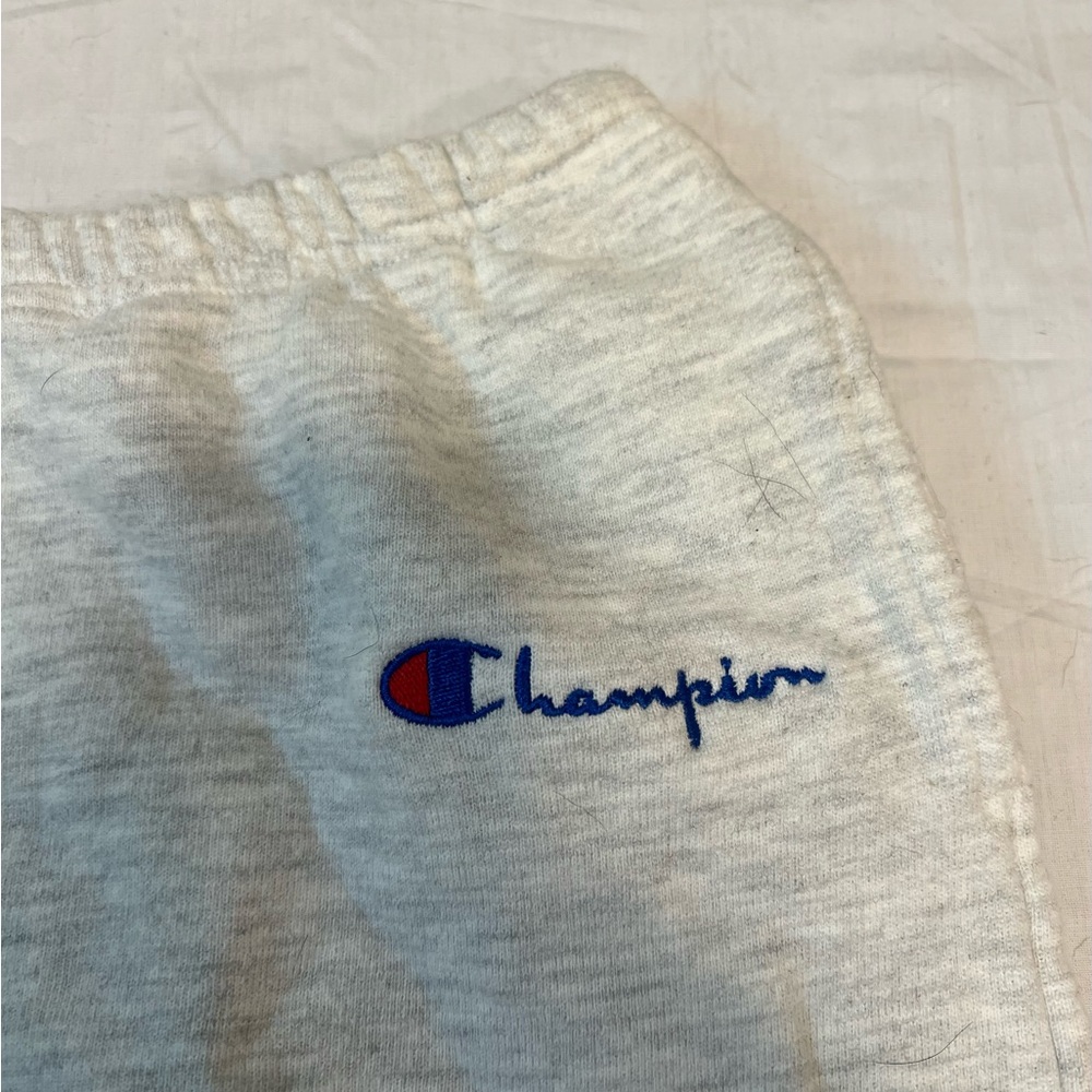 Champion Sweatpants.